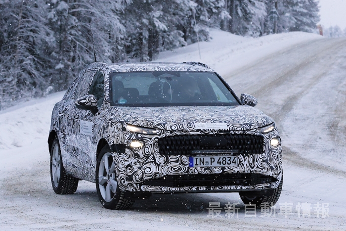 Audi Q3 winter