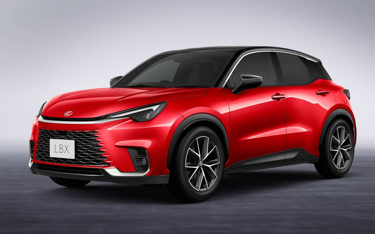 LBX ACTIVE 2025