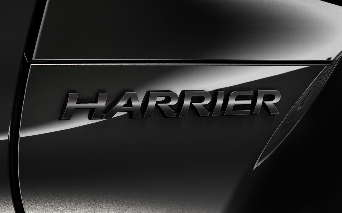 harrier-Z Leather Package・Night Shade