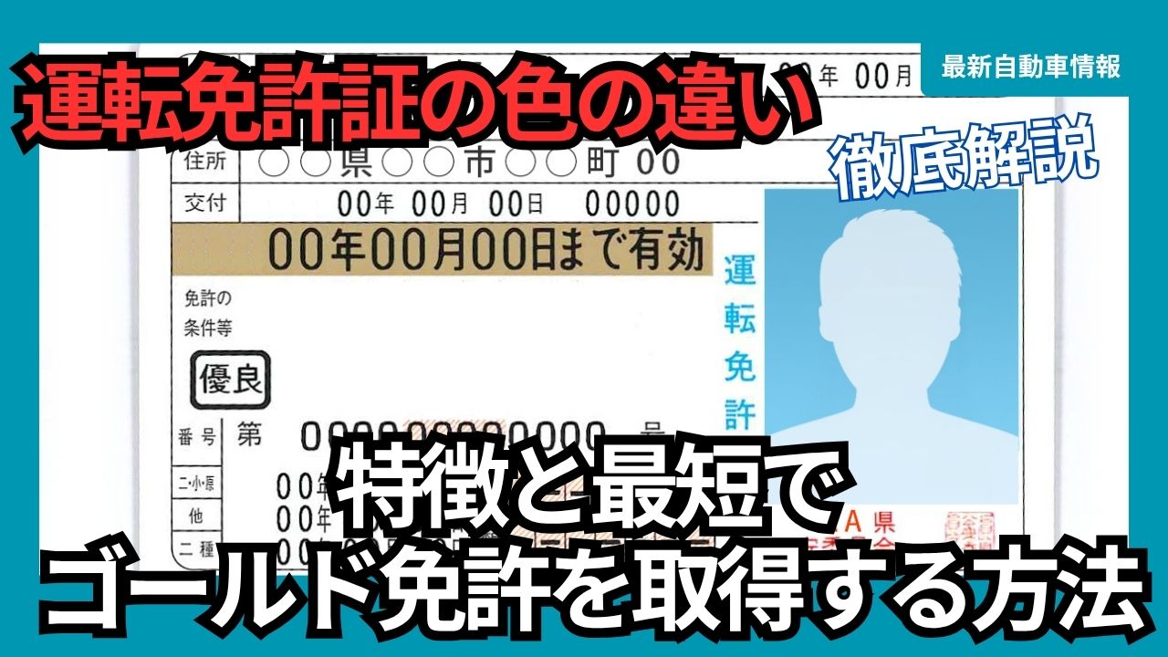 A Comprehensive Guide to the Differences in Driver's License Colors