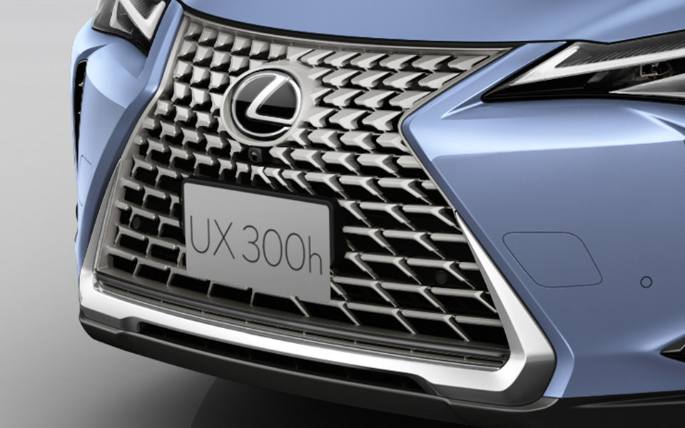 UX300h-2026